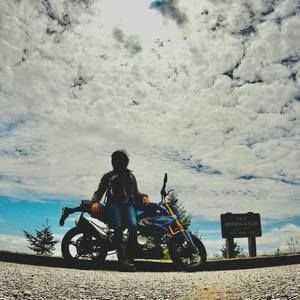 Meet your Posher, Zoey